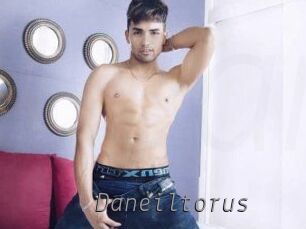 Daneil_torus