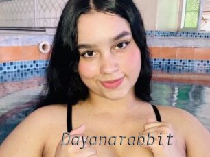 Dayanarabbit