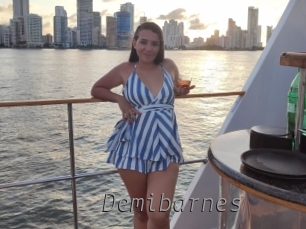 Demibarnes