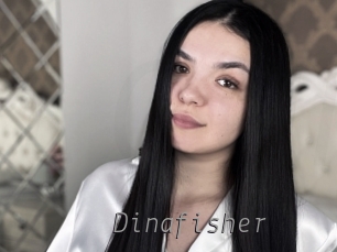 Dinafisher