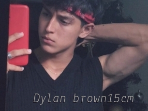 Dylan_brown15cm