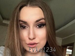 Evka1234