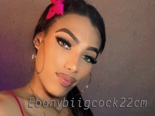 Ebonybiigcock22cm