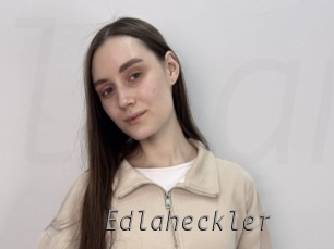 edlaheckler Livestrip Cams