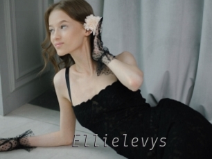 Ellielevys