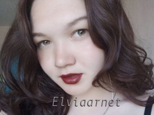 Elviaarnet