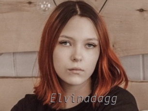 Elvinadagg