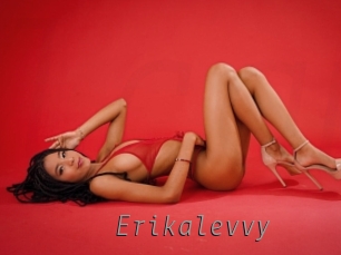 Erikalevvy