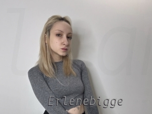 Erlenebigge