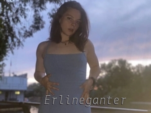 Erlineganter