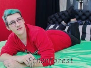 Ethanforest