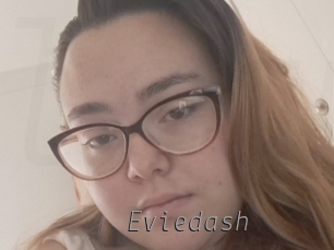 Eviedash
