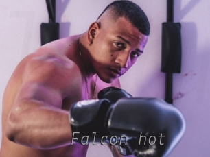 Falcon_hot