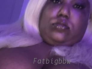 Fatbigbbw