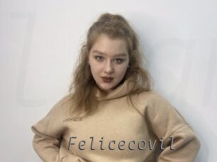 Felicecovil