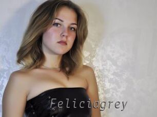 Feliciagrey