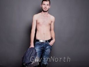 GavinNorth