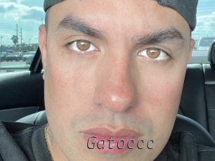 Gatoccc