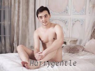 Harrygentle