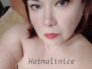 Hotmalinice