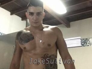 Jake_Sulivan