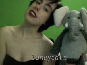 Janeycats