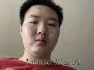 JohnsonXiang1