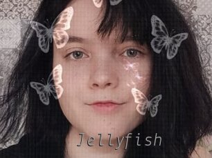 Jellyfish