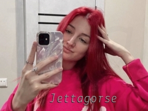 Jettagorse