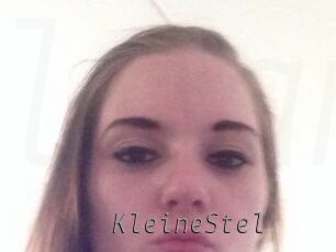 KleineStel