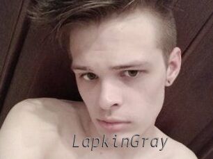 LapkinGray