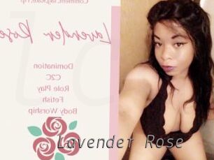 Lavender_Rose