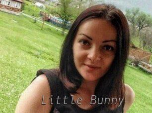 Little_Bunny_