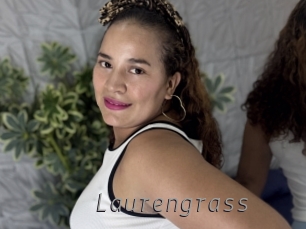 Laurengrass