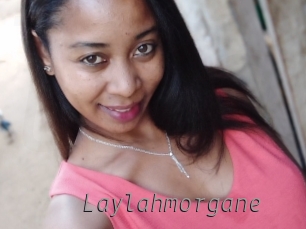 Laylahmorgane