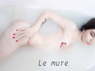 Le_mure