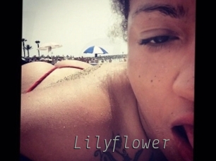 Lilyflower