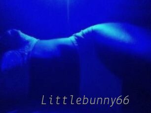 Littlebunny66