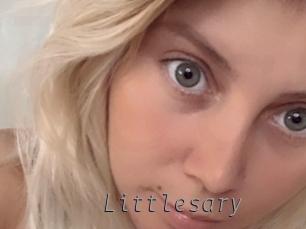 Littlesary