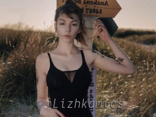 Lizhkamics