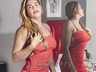 Luzmerry