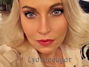 Lydiacougar