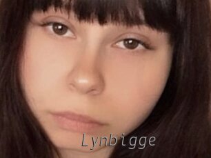 Lynbigge