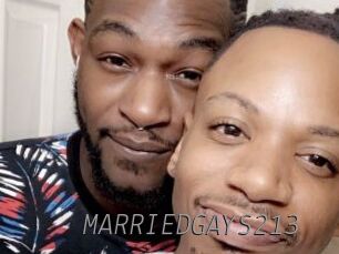 MARRIEDGAYS213