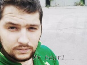 Mr_bear1