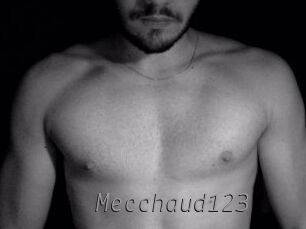 Mecchaud123