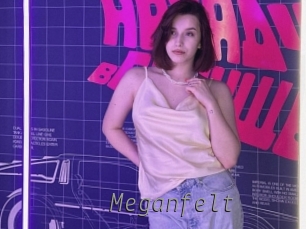 Meganfelt