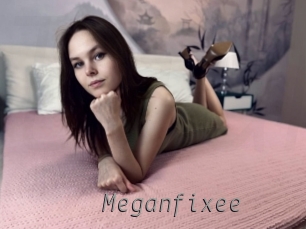 Meganfixee