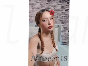 Miiacat18