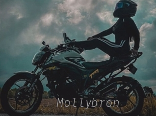 Mollybron